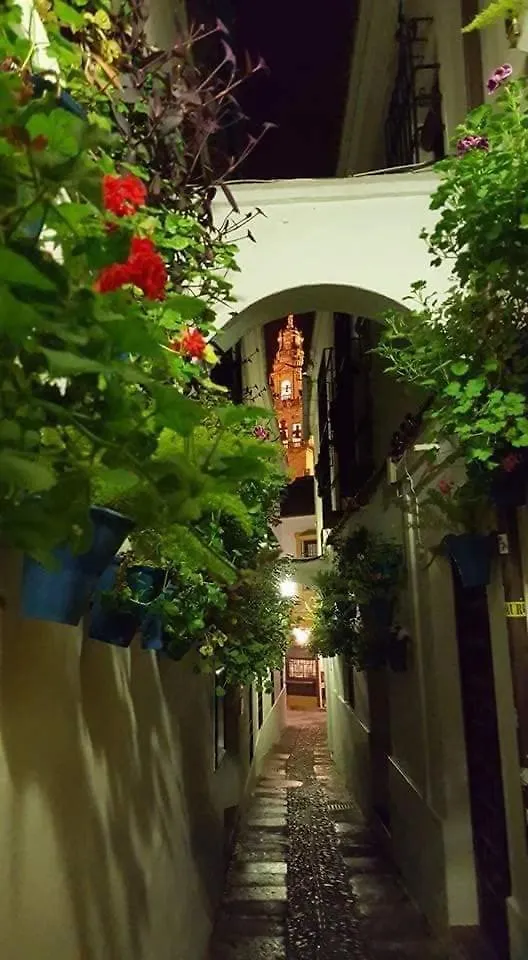 Tu Casa En Cordoba Facil Aparcamiento Villa Holiday home